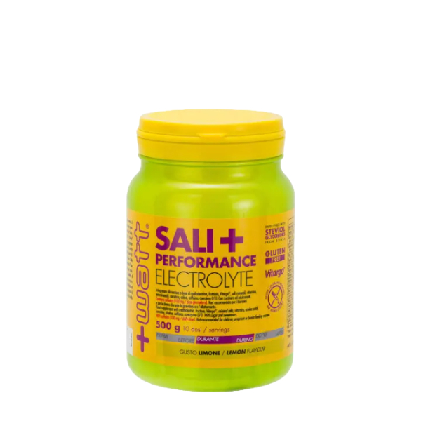 Sali+ Performance Elettroliti 600g